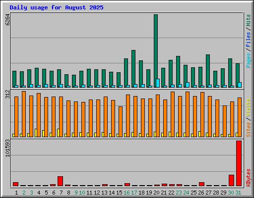 Daily usage for August 2025
