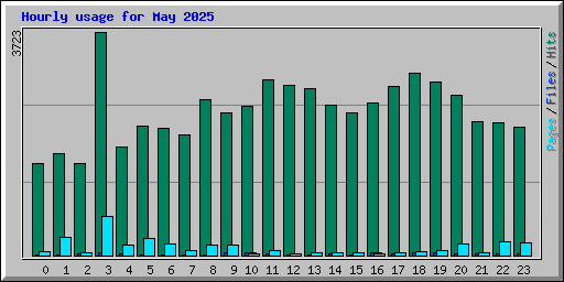 Hourly usage for May 2025