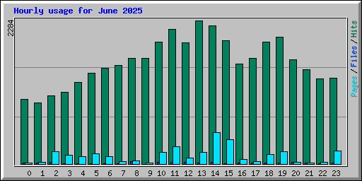 Hourly usage for June 2025