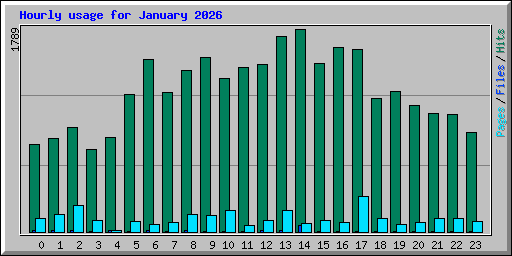 Hourly usage for January 2026